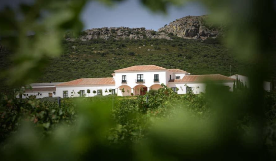 Viña Santa Marina