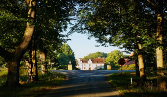 Wanås